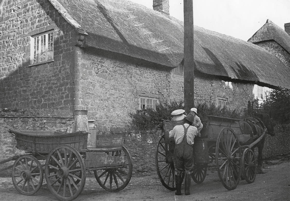 Hauling Milk at Manor Farm, Burton Bradstock Dorset Museum